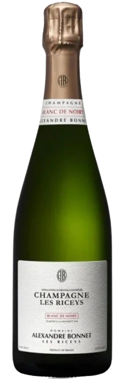 Alexandre Bonnet Extra Brut Champagne 2019 750 ML